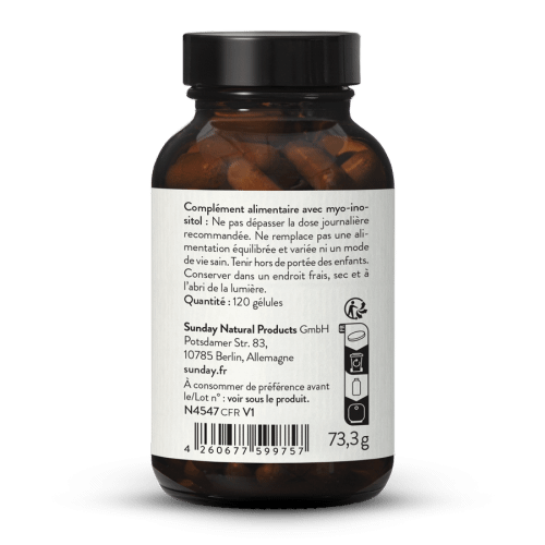 Myo-inositol 500 mg