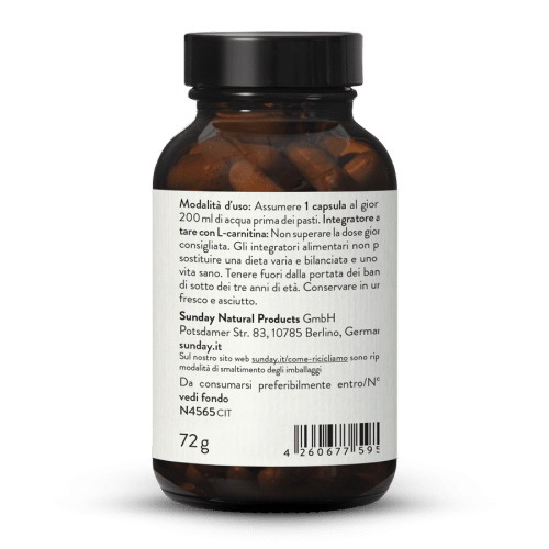 L-Carnitina 500 mg in Capsule