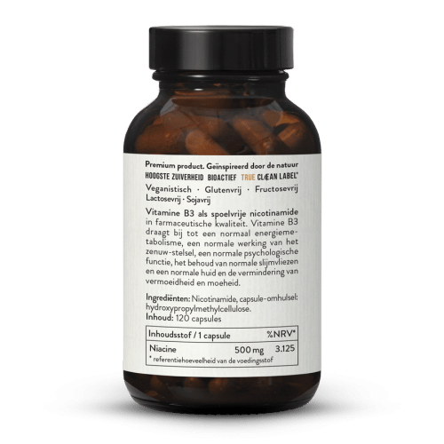 Vitamine B3 Nicotinamide 500 mg