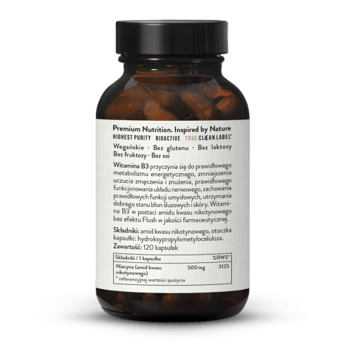 Witamina B3 Niacynamid 500 mg