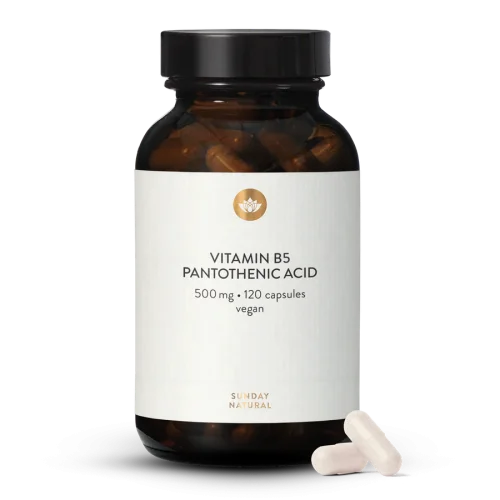 Vitamin B5 Pantothenic Acid 500mg