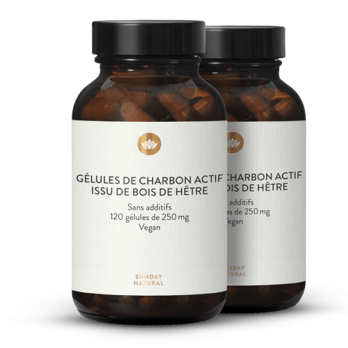 Charbon actif (Bois de htre) - Glules