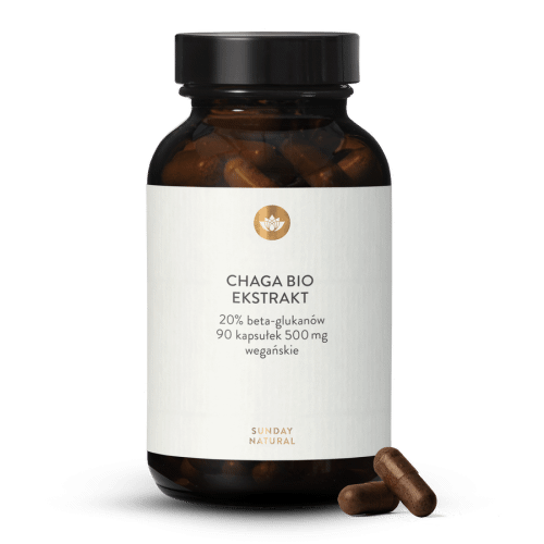 Chaga Bio Ekstrakt 20% beta glukanw