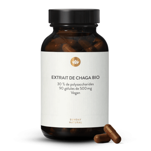 Extrait de chaga bio 30 % de polysaccharides en glules