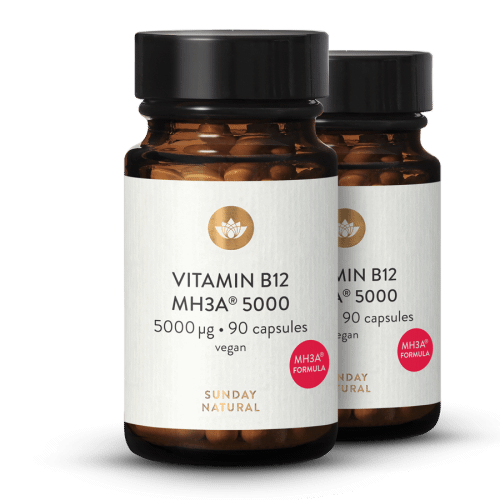 Vitamin B12 MH3A Formel 5000 g hg dos