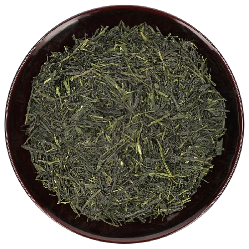 Hashiri Shincha Tanegashima Yabukita
