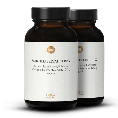 Mirtilli Selvatici Bio in Polvere