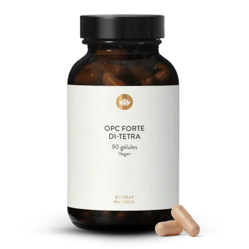 OPC 2000 Di-Tetra Forte