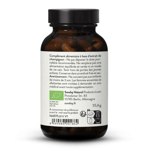 Extrait d'hydne hrisson bio en glules