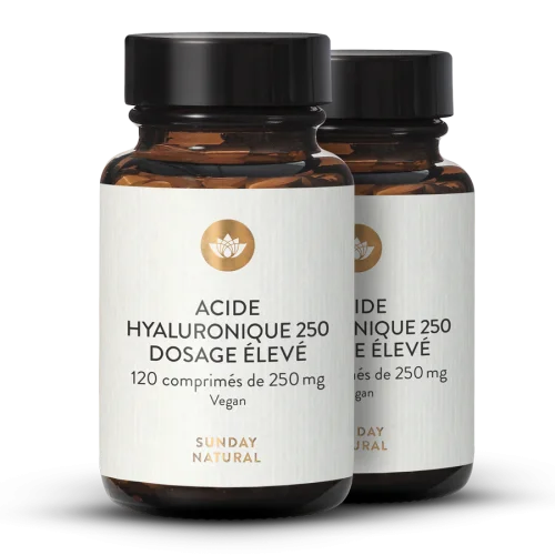 Acide hyaluronique 250 mg - comprims