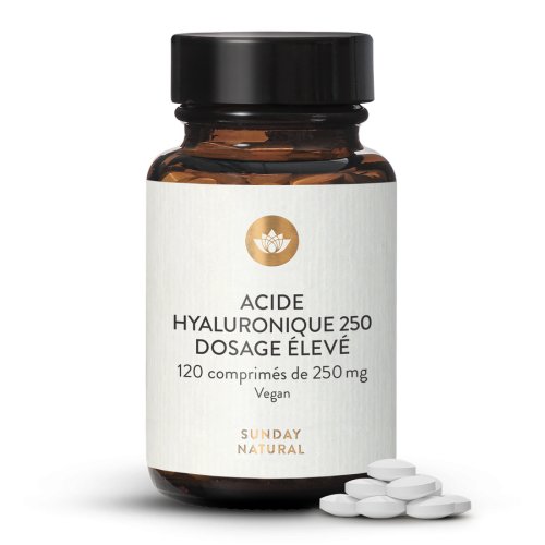 Acide hyaluronique 250 mg - comprims
