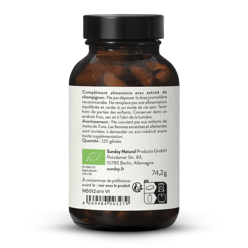 Poudre de polypore en ombelle bio en glules
