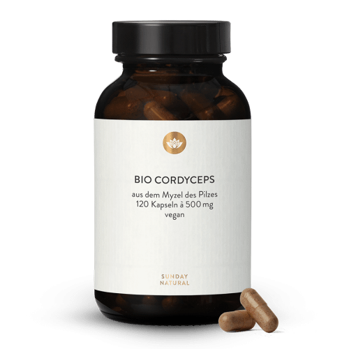 Poudre de Cordyceps bio en gélules