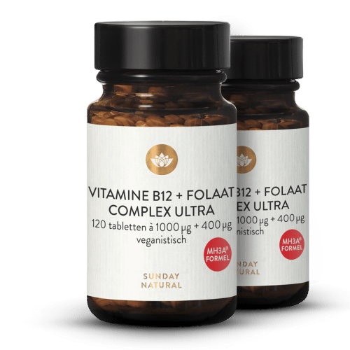 Vitamine B12 + Foliumzuur MH3A + Folaat Complex 1000 g + 400 g