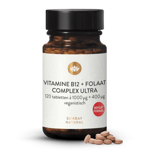 Vitamine B12 + Foliumzuur MH3A + Folaat Complex 1000 g + 400 g