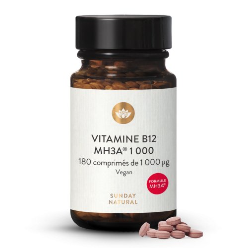 Vitamine B12 Formule MH3A 1000g