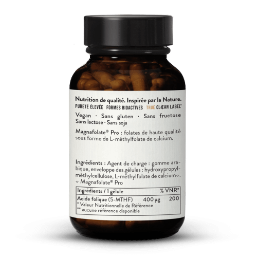 Acide folique (Folate) Magnafolate Pro 400 g