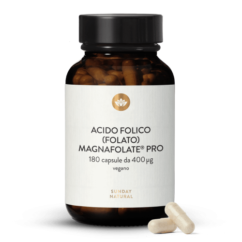 Acido folico (folato) Magnafolate Pro 400 g