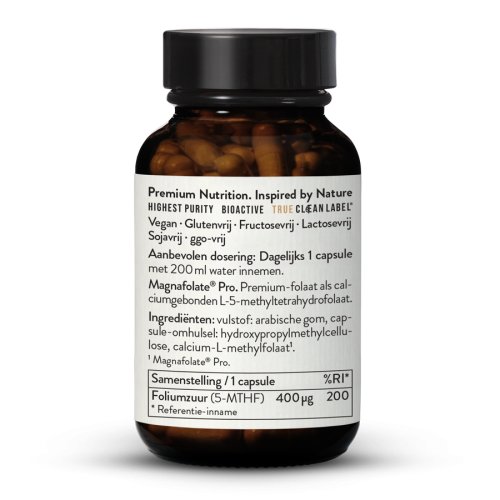 Foliumzuur (Folaat) Magnafolate Pro 400 g