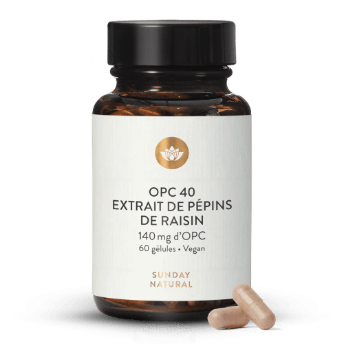 Extrait De Ppins De Raisin OPC 40