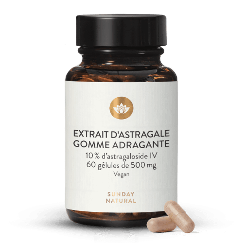 Extrait d'astragale en glules