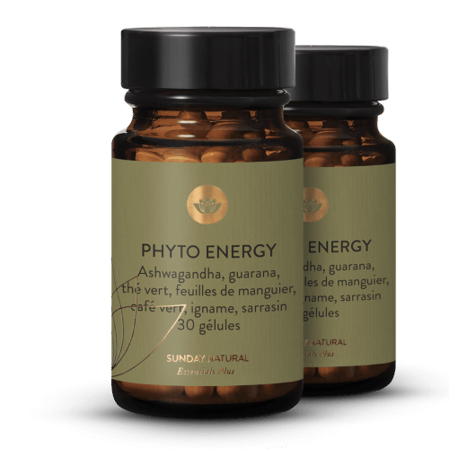Phyto Energy