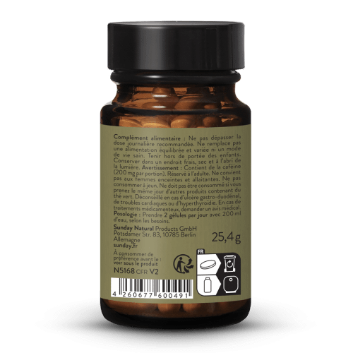 Phyto Energy