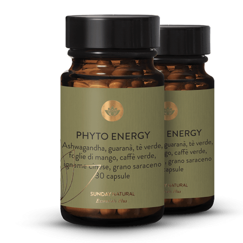 Phyto Energy Vital Mix