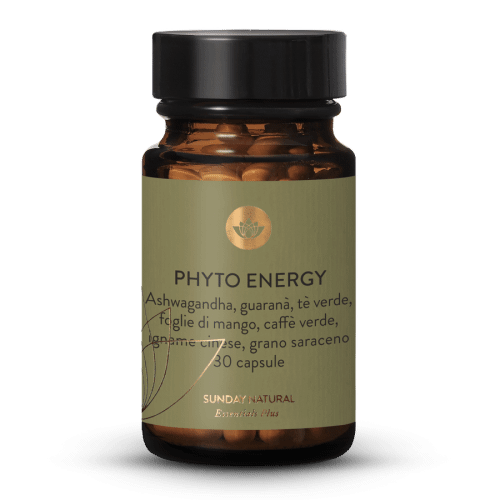 Phyto Energy Vital Mix