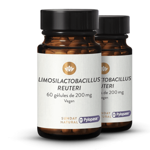 Limosilactobacillus reuteri Pylopass
