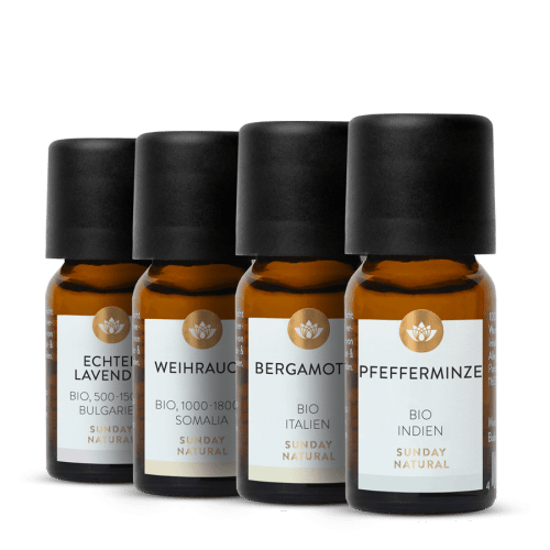 Breathwork Essentials Bundle