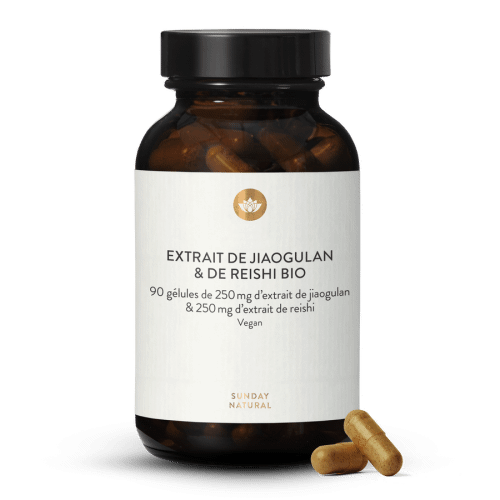 Extrait De Jiaogulan + Reishi Bio En Glules