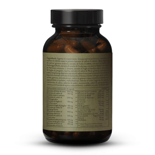 Fatigue Complex