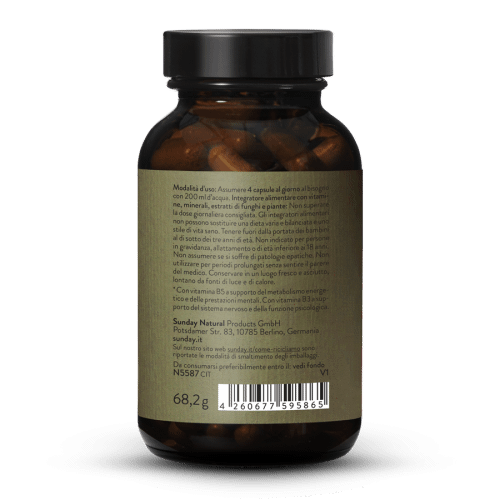 Fatigue Complex