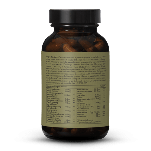 Fatigue Complex