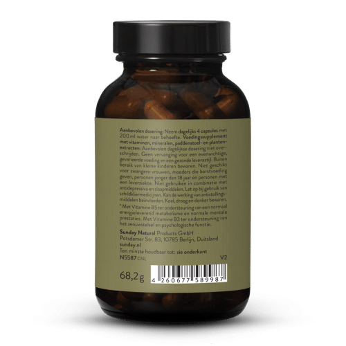 Fatigue Complex