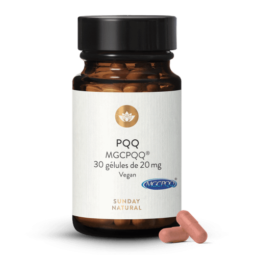 PQQ 20 mg - MGCPQQ
