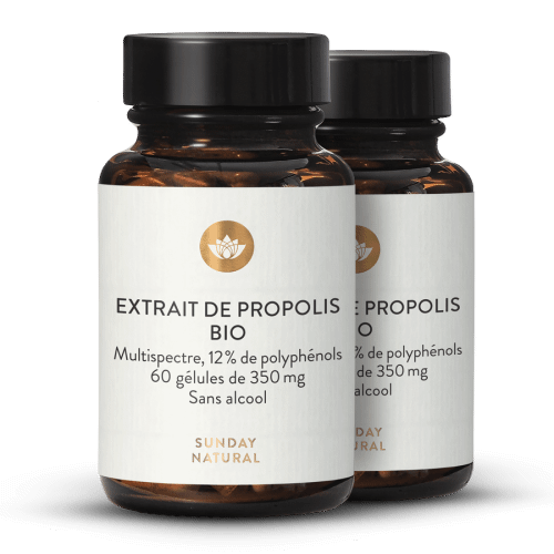 Extrait de propolis bio en glules