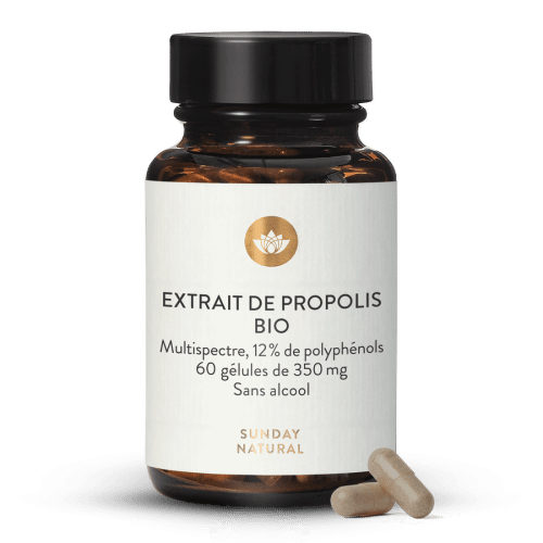 Extrait de propolis bio en glules
