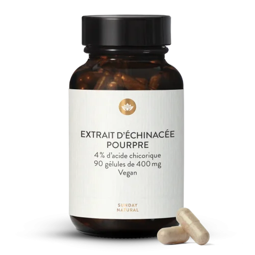 Extrait d'chinace pourpre 400 mg en glules