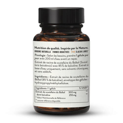 Extrait de Scutellaire du Bakal en glules