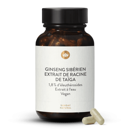 Ginseng sibrien extrait de racine de Taga