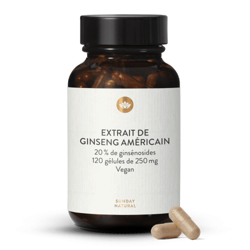 Ginseng amricain 20 %