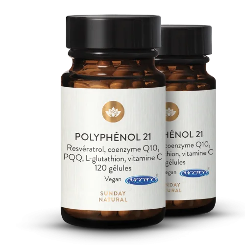 Complexe de polyphnols 21