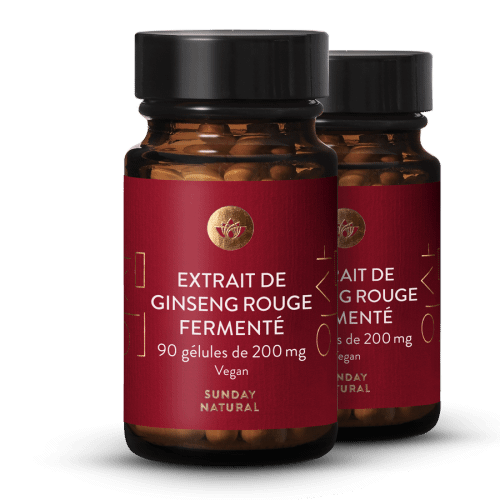 Extrait de ginseng rouge ferment