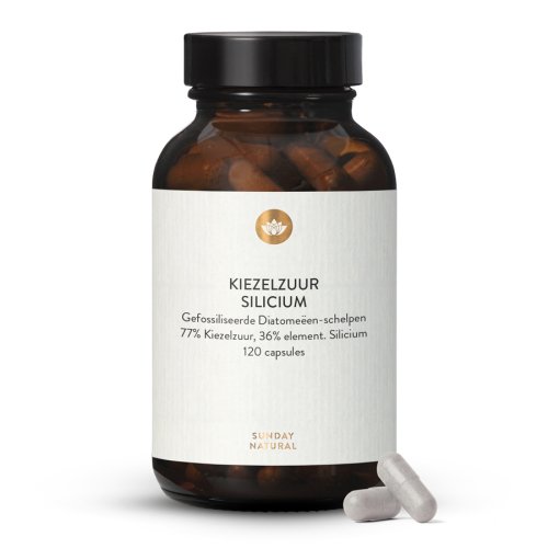 Kiezelzuur 350 mg Organisch Silicium