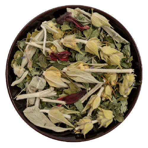Good Night Mountain Tea Phyto Harmony Bio