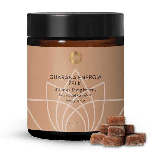 elki Energia Guarana