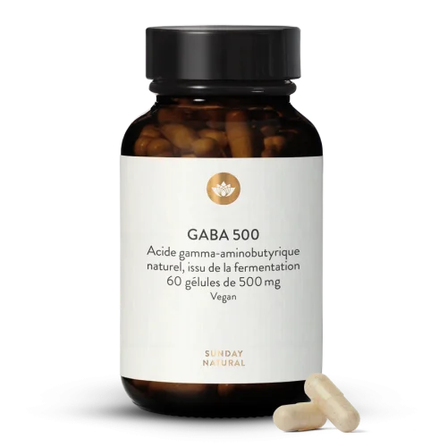 Gaba 500 Mg En Glules