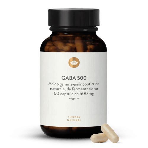 GABA 500 mg capsule